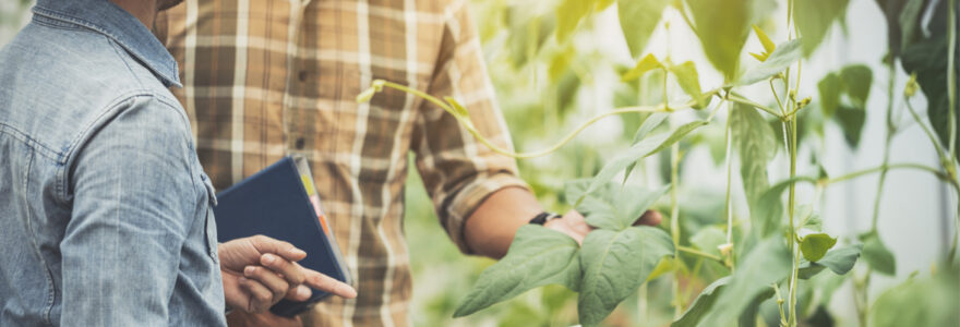 gestion agricole